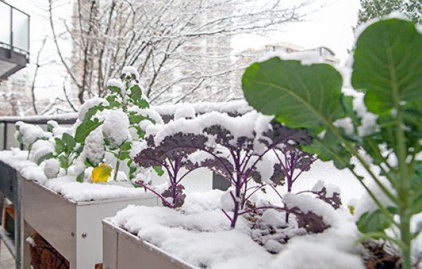 Mit einem Gewinn der SKL kann der Traum vom eigenen Garten Wirklichkeit werden