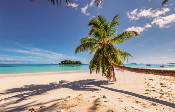 Traumurlaub auf den Bahamas