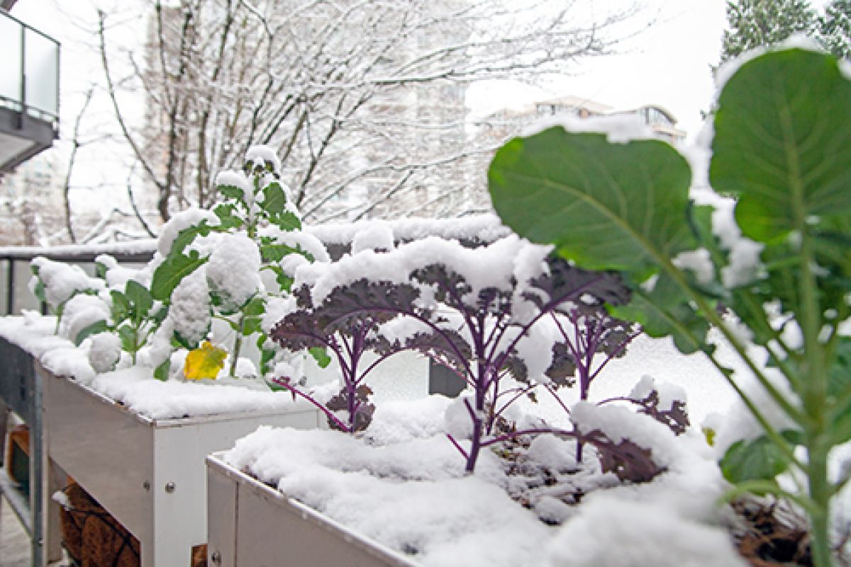 Mit einem Gewinn der SKL kann der Traum vom eigenen Garten Wirklichkeit werden