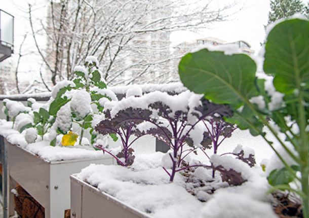 Mit einem Gewinn der SKL kann der Traum vom eigenen Garten Wirklichkeit werden