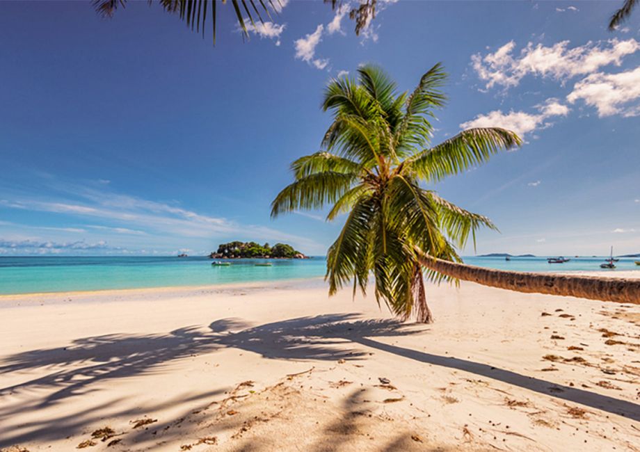 Traumurlaub auf den Bahamas