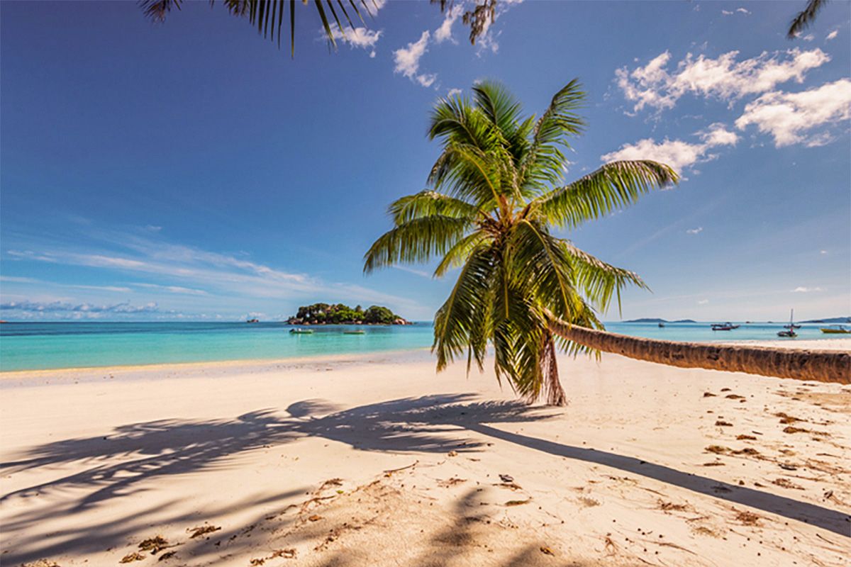 Traumurlaub auf den Bahamas