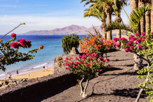 Im Winter auf die Insel des ewigen Frühlings reisen