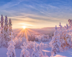 Winterreise nach Schwedisch Lappland