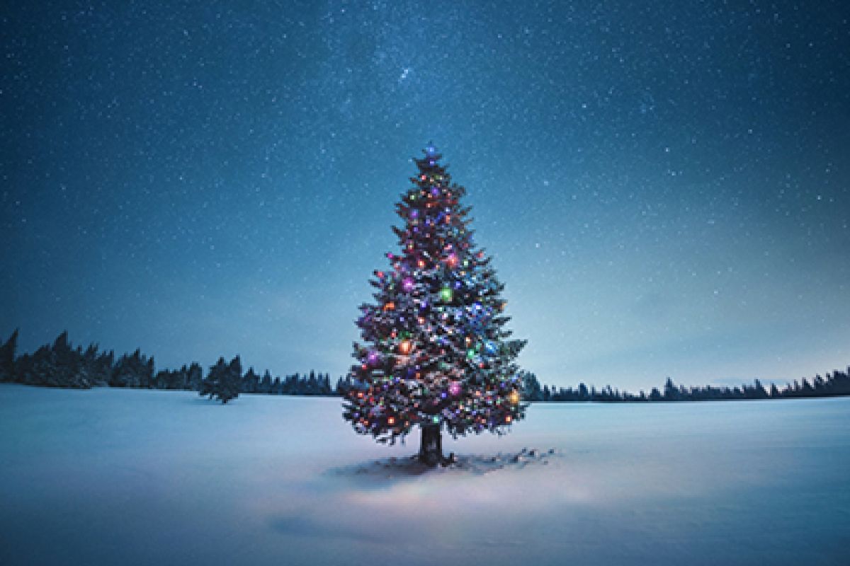 Geschmückter Weihnachtsbaum im Schnee.