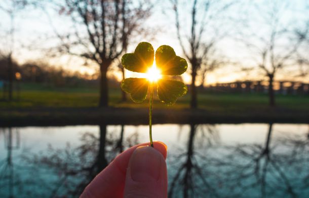 Kleeblatt in der Hand beim Sonnenaufgang