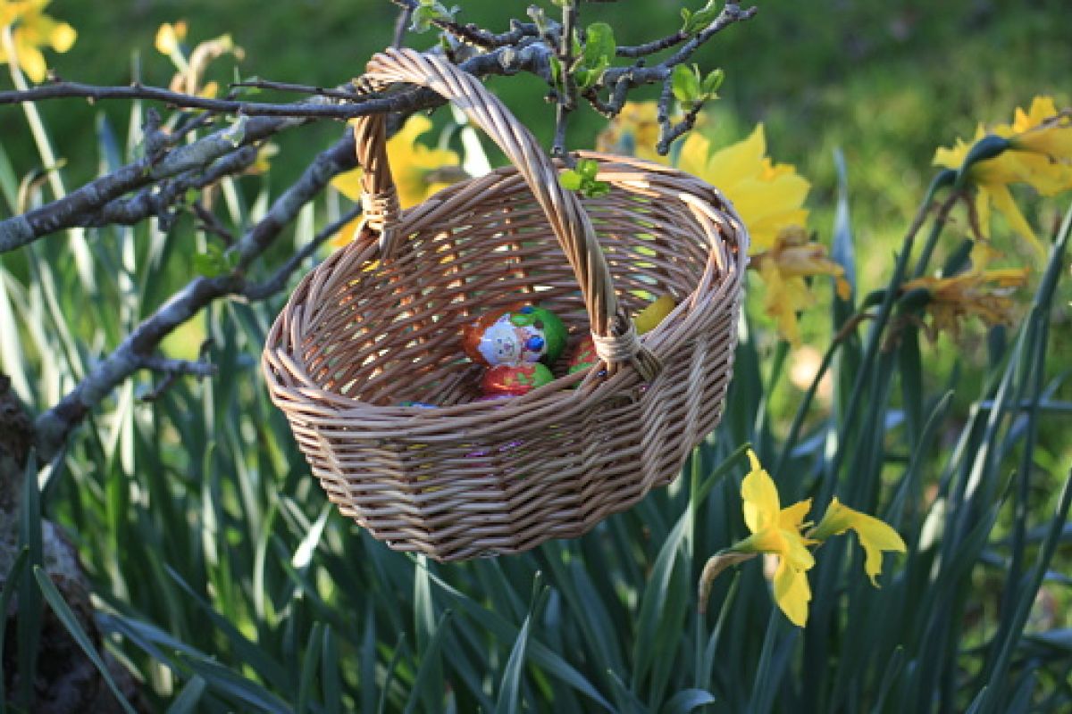 Ein Korb mit Ostereiern, in dem auch Kinderschokolade zu sehen ist.