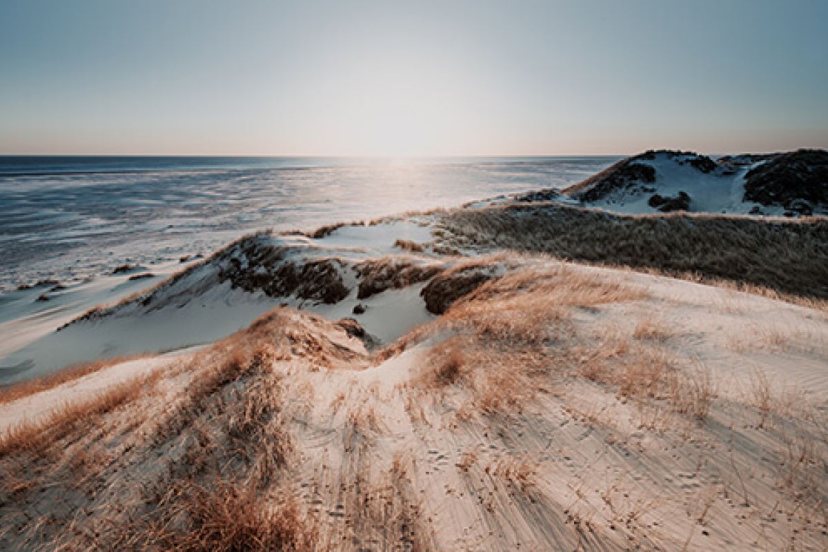 Ein malerischer Strand am Meer, mit sanften Wellen und Hügeln im Hintergrund.