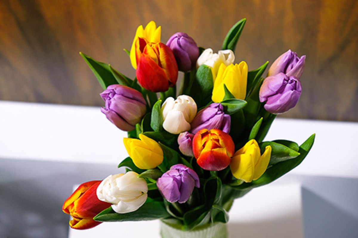 Die Sprache der Blumen